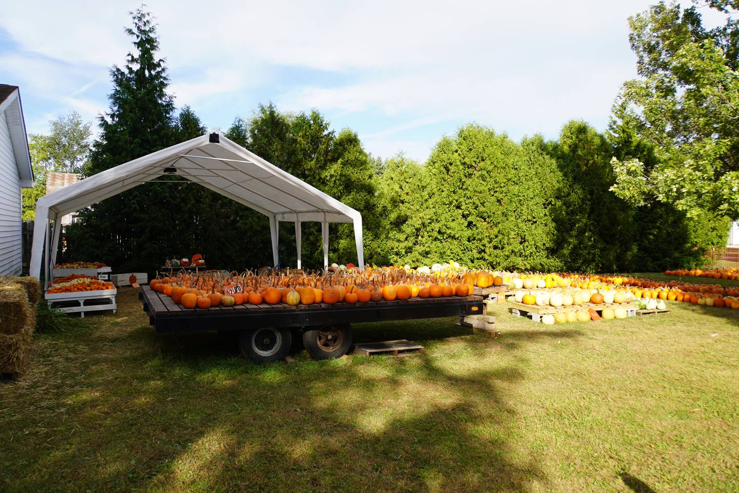 Seebach’s Pumpkins at 5498 S. Center Road opened for the season on Sept. 13.