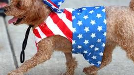 Photos: Northern Illinois celebrates the Fourth of July