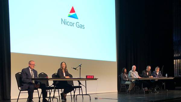 Illinois regulators deny roughly half of Nicor’s rate increase request