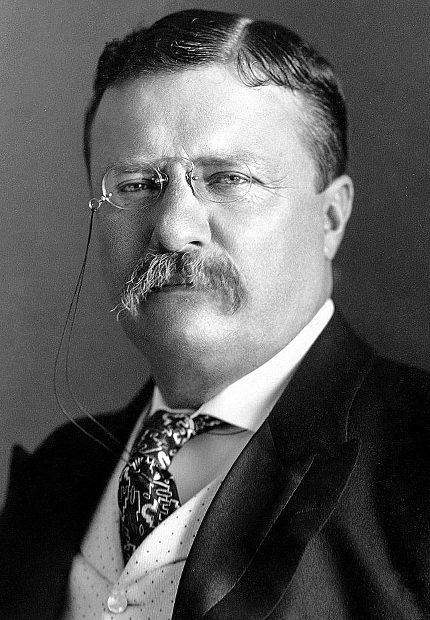 Theodore Roosevelt