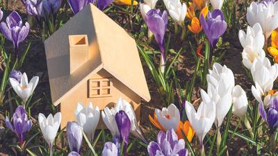 Be a neighborhood trendsetter and lead by example in the new year