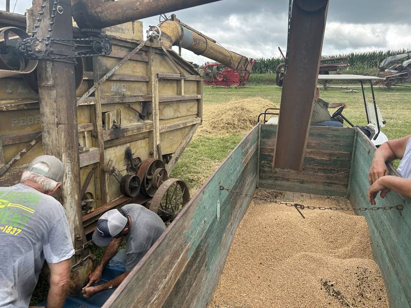 Violunteers work on a threshing machine at the Bos Brothers Historical Farm south of Erie on Saturday, July 26, 2025, as another watches over a wagon of the wheat berries gleaned from the sheaves. This year's event focused on harvesting wheat.