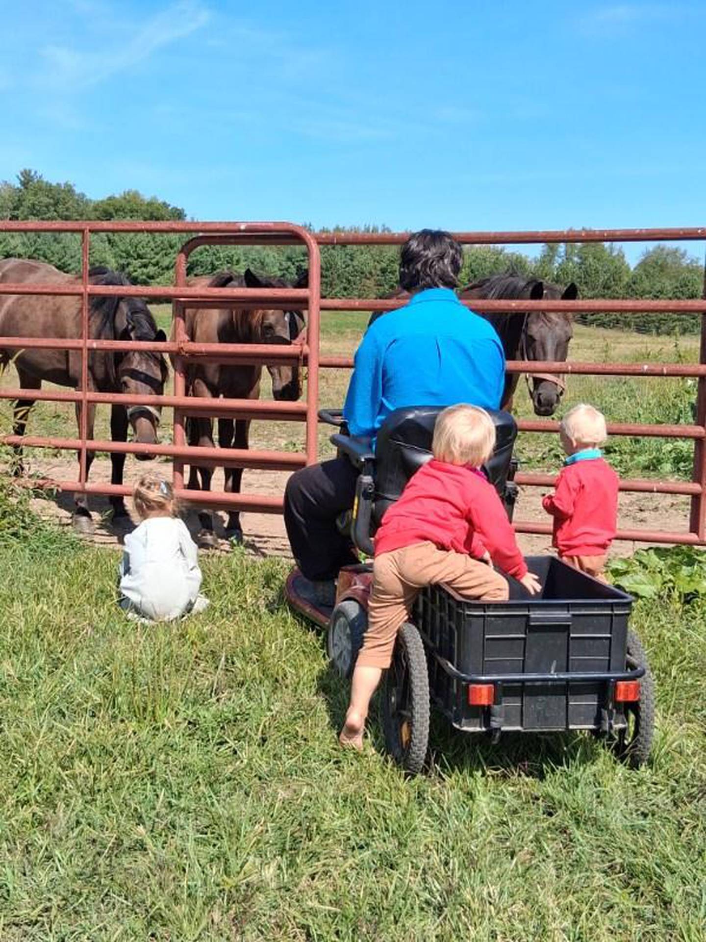 Kevin and some of the children visit with the horses.