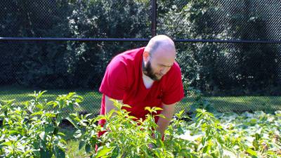 Master Gardeners bring ‘Tomato Troubles’ workshop to La Salle County Jail