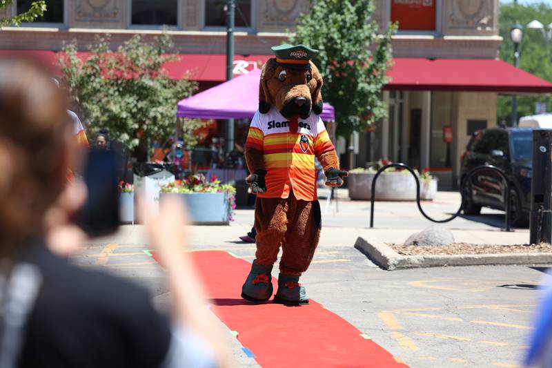Joliet Slammers mascot Spikes kicks off the fashion parade on Saturday during the Paws on 66 Pet Rescue Day in downtown Joliet.