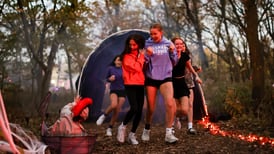 Celebrate Autumn: Late October and November events in Glen Ellyn