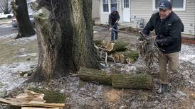 Photos: Ice storm causes power outages, downs trees in McHenry County