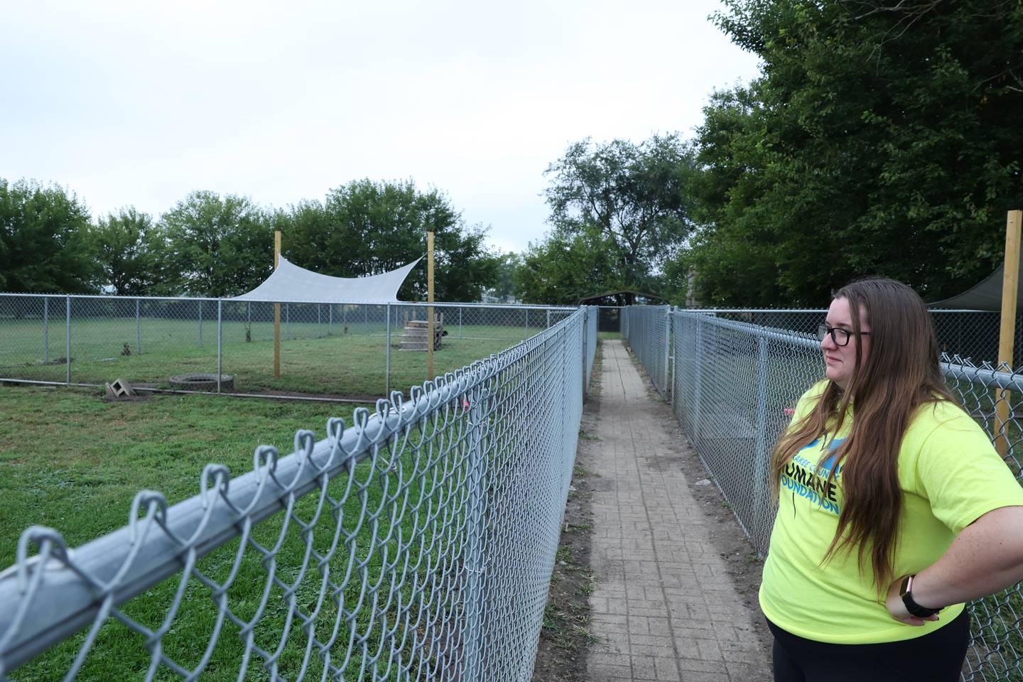 Kankakee County Humane Foundation director Kara Muhlstadt looks out over the outdoor dog runs at the St. Anne shelter on Sept. 23, 2025. Local shelters are at capacity and in desperate need of volunteers and donations as they adapt to an increased minimum wage.