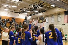 Photos: Lyons vs. York volleyball, Class 4A York Regional final