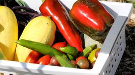 Here’s where mobile food pantry will be in DeKalb County in May