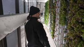 Lockport urban hydroponic farm takes root in the community