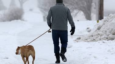 Here’s how to keep your dog safe in winter weather