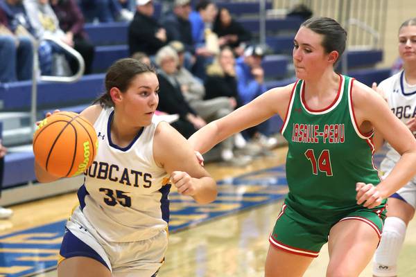 Field set for 2026 Little Ten Conference Girls Basketball Tournament