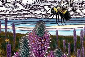 Will County Forest Preserve art exhibits celebrate prairie landscapes and birdlife 