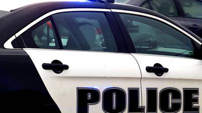 Plano police assist Homeland Security in criminal investigation