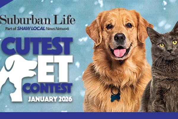 January Cutest Pet Contest!