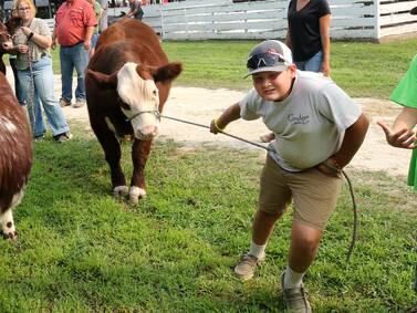 Photos; Daily Chronicle Photos of the Week for July 28 - Aug. 2
