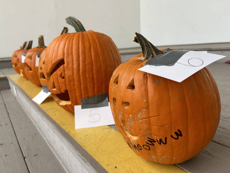 A pumpkin-carving contest was held in conjunction with the Fall Family Festival in Mt. Morris on Sunday, Oct. 13, 2024.