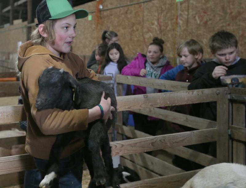 Layne Foster holds a baby kid goat during the Bureau County Ag. Fair on Thursday, March 21, 2024 in Princeton. The Ag Fair is a daylong event at the Bureau County Fairgrounds in which students make times stops at multiple stations. There are fourteen different learning centers specializing in dairy, embryology, safety, pork, corn, seed science, conservation, beef, soybeans, pollination, technology, equipment, and large and small animals.