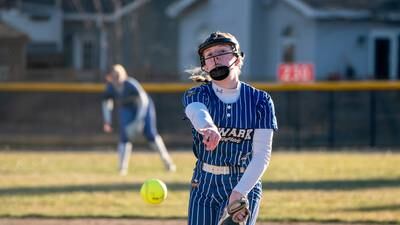 Four Newark, two Serena softball players earn ICA all state