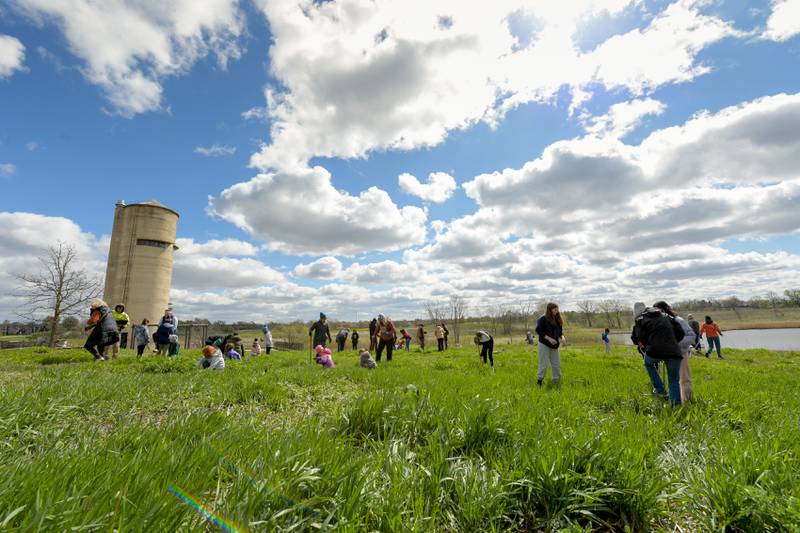 Volunteers plant native prairie plants at Peck Farm’s Dolomite Prairie as part of Geneva’s Earth Day Celebration on Saturday, April 20, 2024.