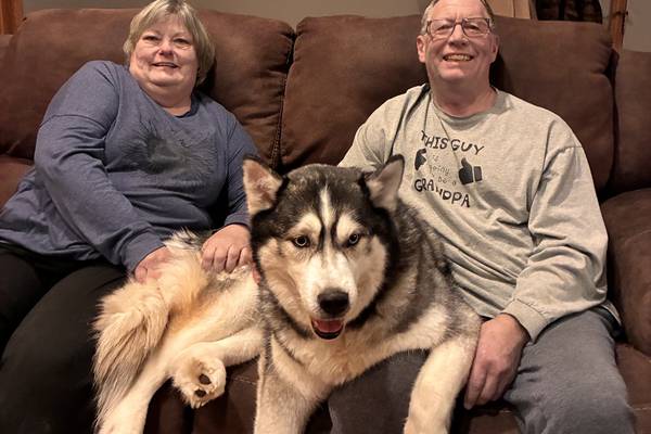 Woodstock family adopts husky rescued from icy pond