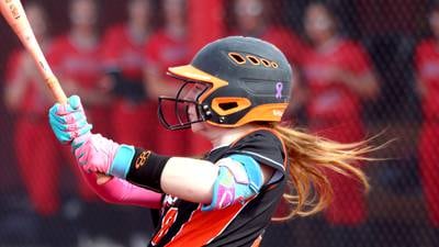 2025 Daily Chronicle Softball All-Area Team