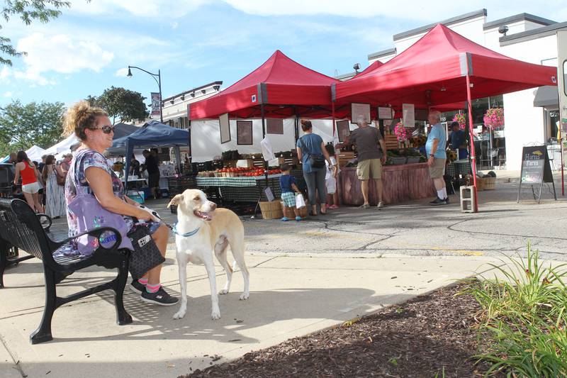 Julie Laura, of Wauconda sits on a bench with her dog named, Cooper, close to the Wauconda Farmers’ Market in downtown Wauconda.  The farmers’ market runs on Thursday afternoons from 4-7pm through September 29th.