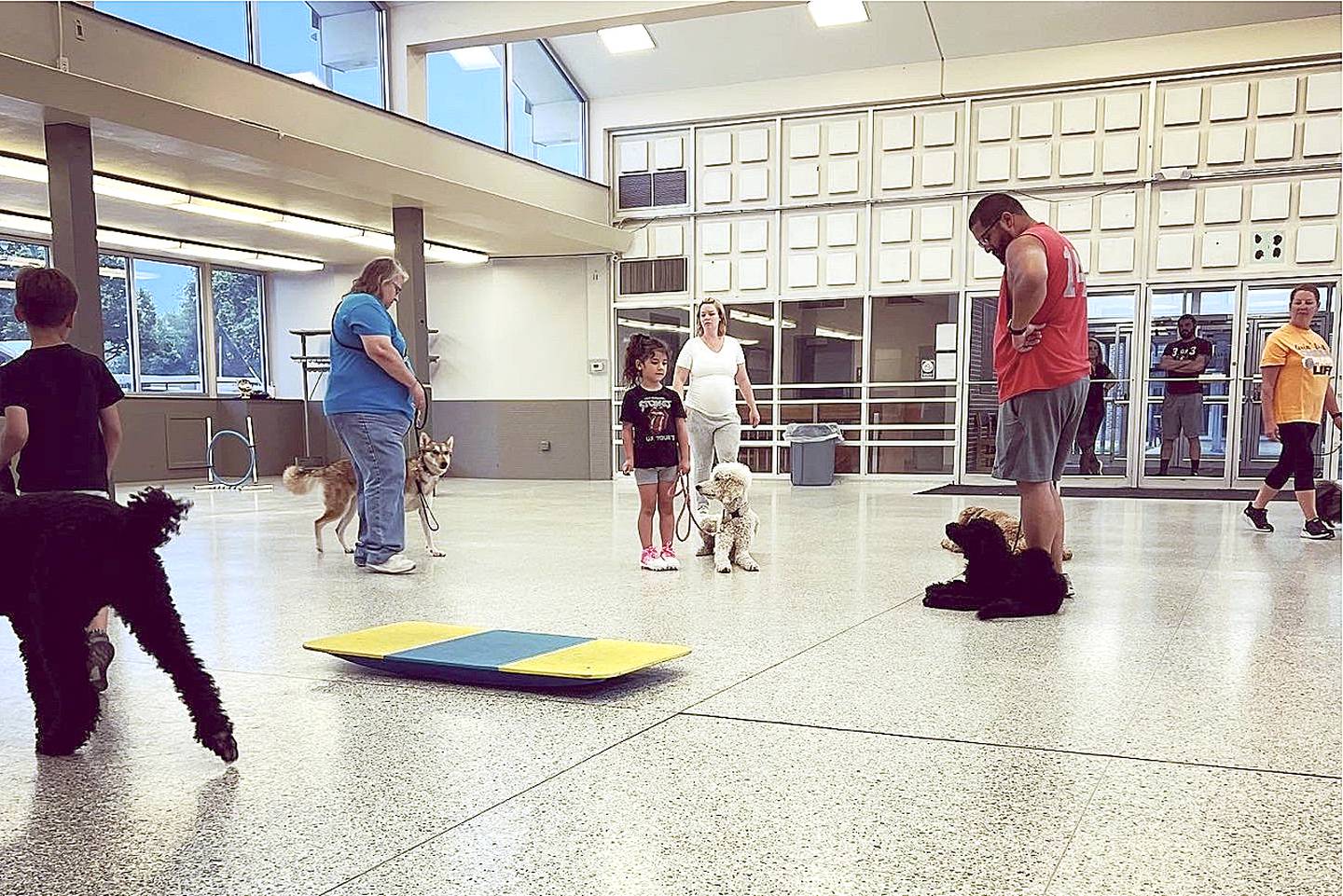 Beginner and advanced dog training classes are offered by Vanessa Wahl and O'So Sharp at the Rock Falls Community Building.