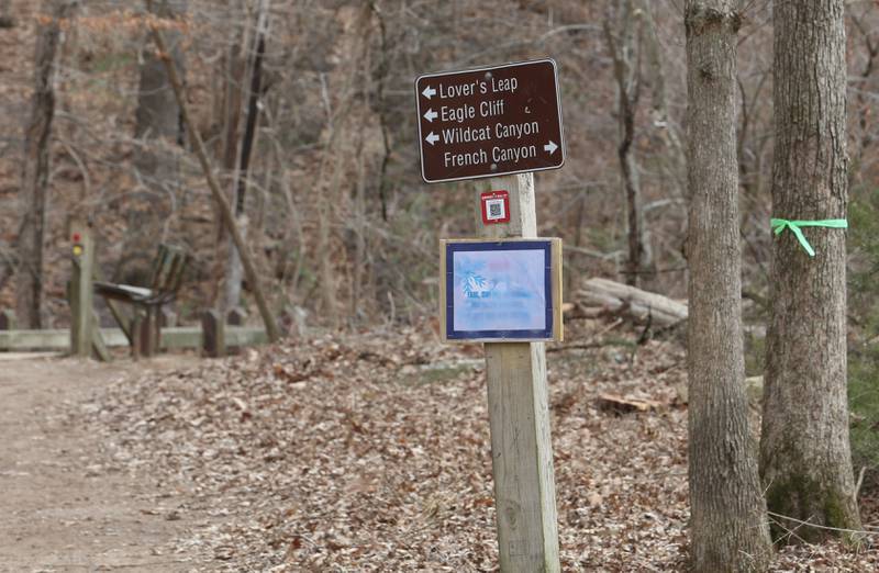 A green ribbon is attached to a tree next to a sign to the Lovers Leap, Egle Cliff and Wildcat Canyon trailhead on Monday, March 2, 2026 at Starved Rock State Park. Starved Rock State Park received a 37 million upgrade to trail improvement that is underway and continue through 2026. Trail closures will be announced on the Starved Rock and Matthiessen State Park Facebook pages.