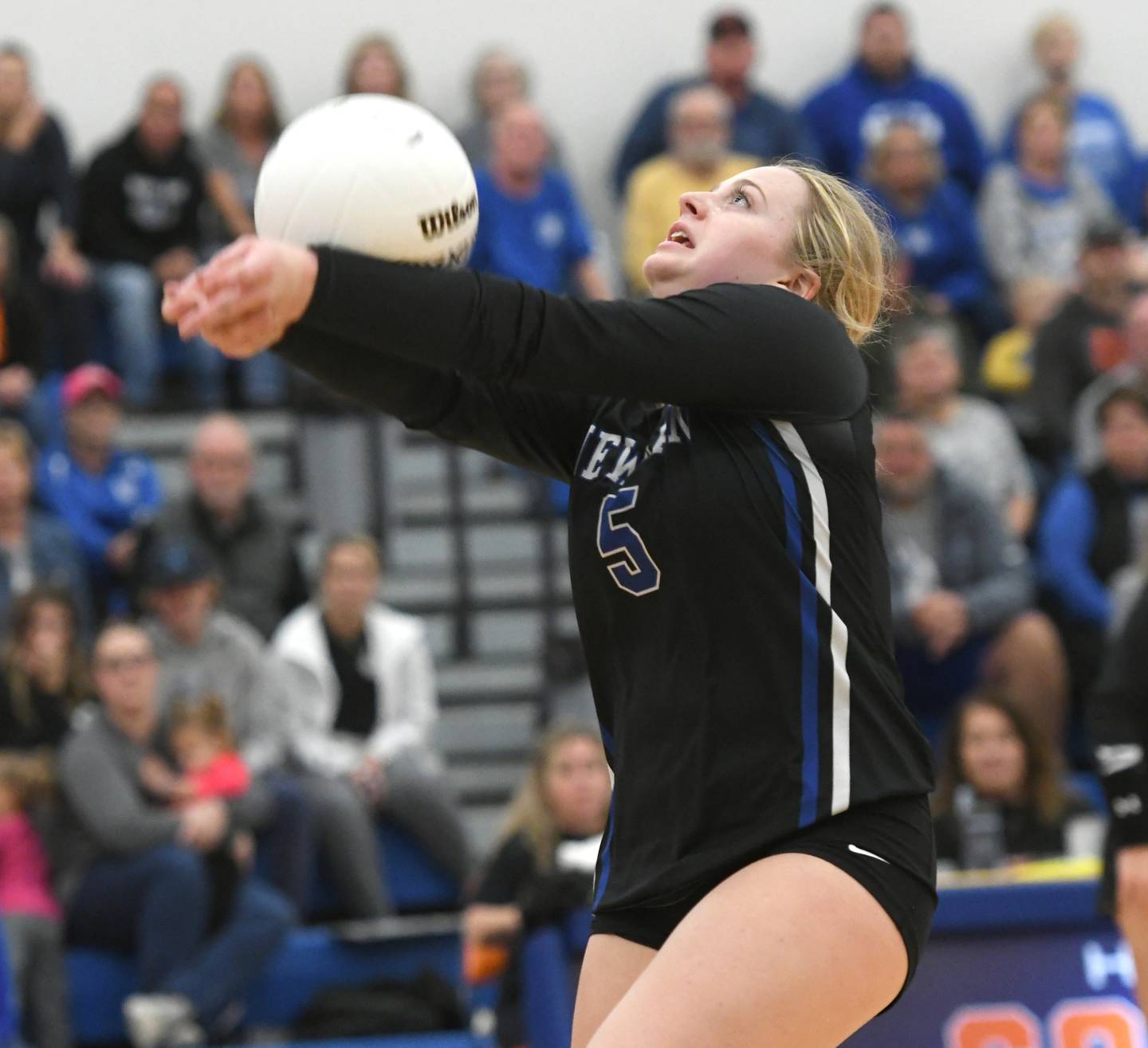 Newman's Molly Olson sets the ball at Eastland Supersectional on Friday, Nov. 4 in Lanark. The Comets won the match in two games.