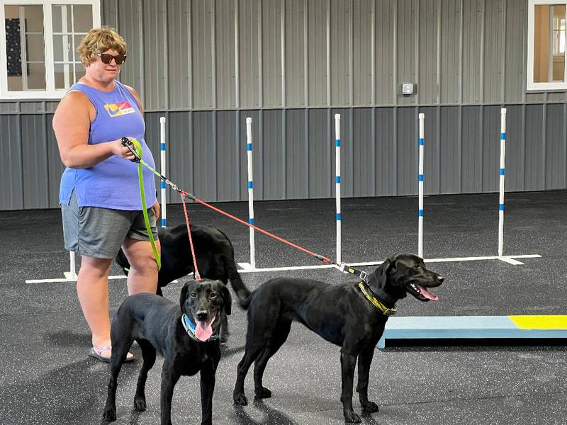 Jennifer Bergstrom of Milledgeville brought her three black labrador retrievers to play at the Barkery, a boarding place for dogs in Sterling.