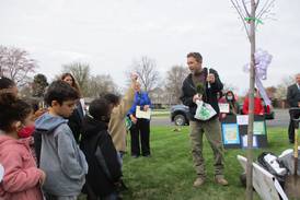 Joliet named Tree City, sets Arbor Day celebration