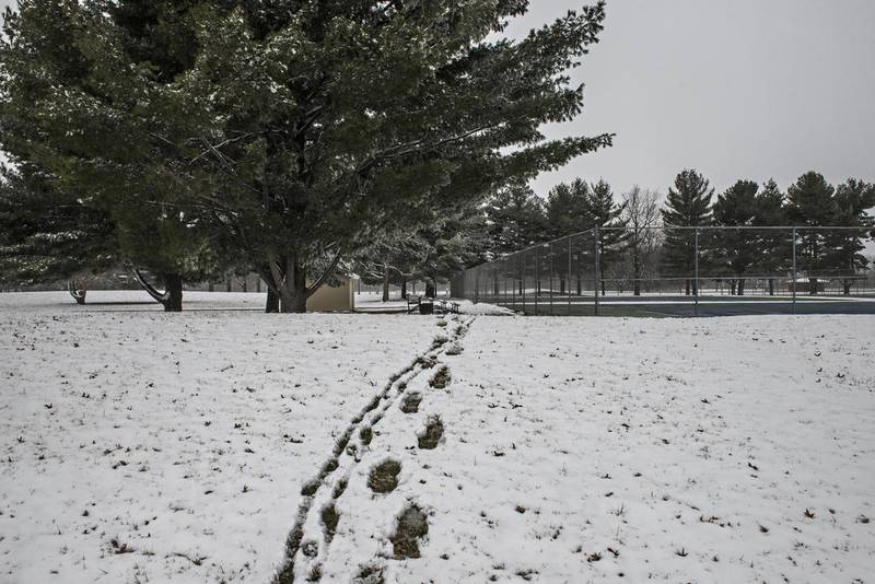 Lone tracks mark the snow near the tennis courts at Sauk Valley Community College last winter. A system moving into the area is expected to drop 2 to 4 inches of snow overnight and Tuesday morning, before the precipitation turns into light rain.