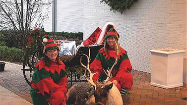 Christmas arrives at Summerfield Zoo in Belvidere