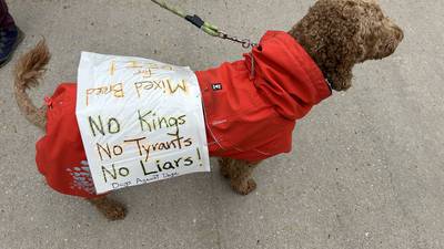 Kane groups to host No Kings rally June 14 to protest Trump administration