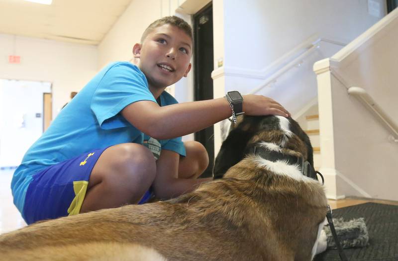 Jason Gonzales, student at SOAR (Students Obtaining Achievement and Responsibility) pets Haven, the Peru Police Department therapy K-9 dog while entering the school building on Thursday, Aug. 21, 2025 in Peru.