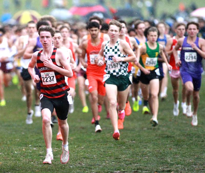 Barrington's Joe Bregenzer competes in the Class 3A State Cross Country Championships on Saturday, Nov. 9, 2024 at Detweiller Park in Peoria.