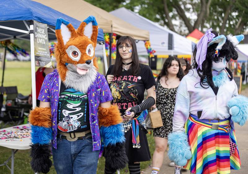 Festival goers stroll among the more than 100 vendors Saturday at the Ottawa Family Pride Festival.