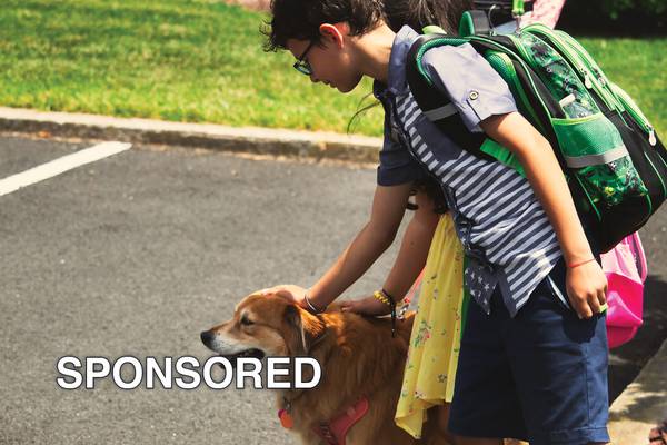 Ensure a Smooth Back-to-School Transition for Your Furry Friend