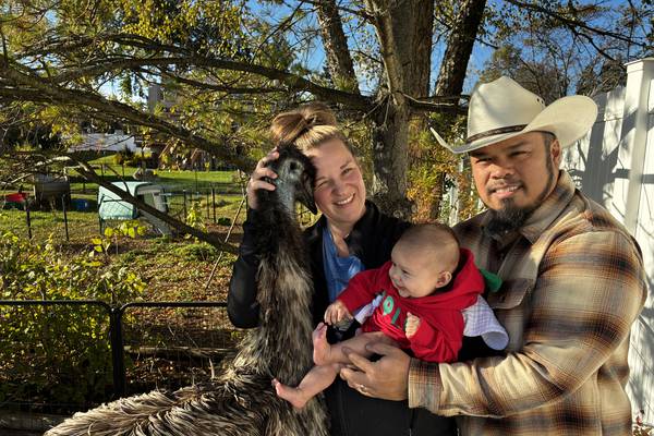 Couple gives up fight to keep emus in McHenry, will relocate