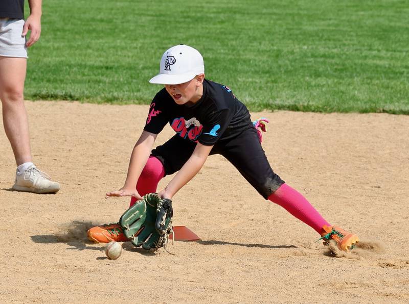Tiger Baseball Camp