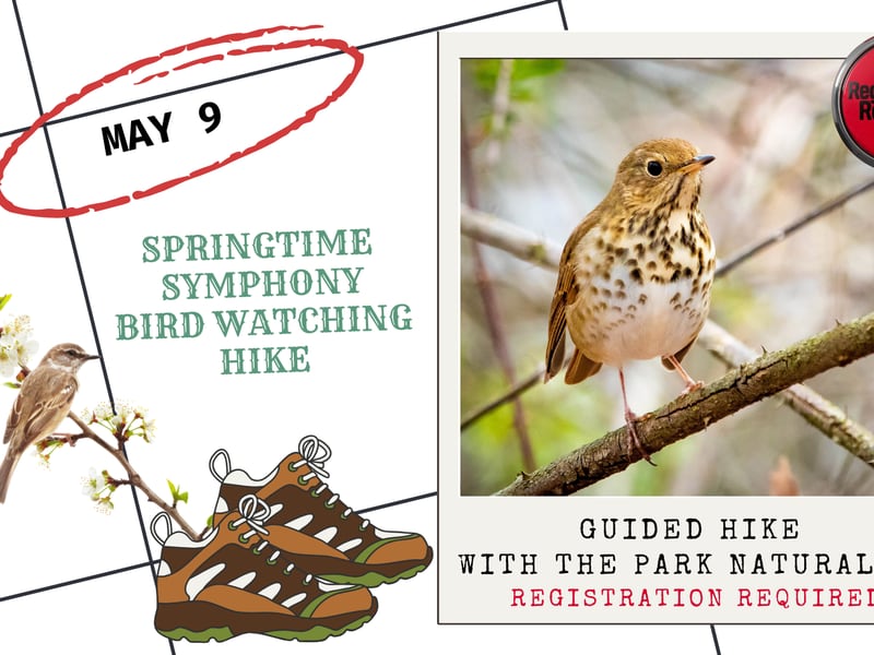Enjoy a bird hike May 9 at Starved Rock State Park