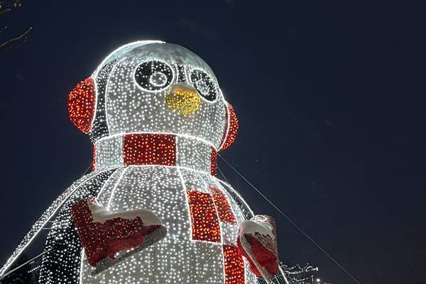 Giant lighted penguin shines in New Lenox’s Christmas in the Commons display
