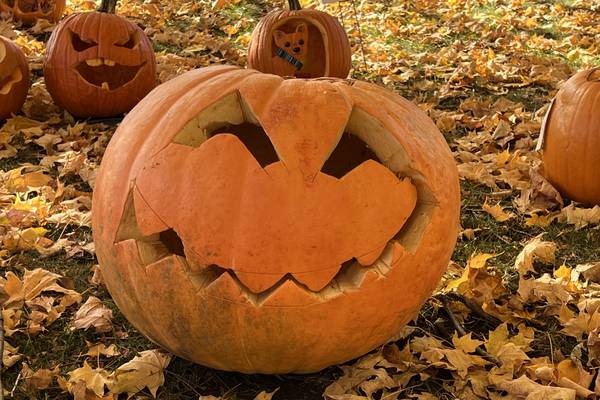 Polo’s CrossRoads Community Church to host trunk-or-treat
