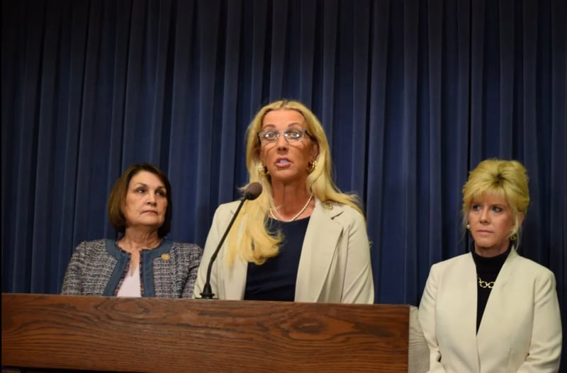 Sen. Sue Rezin, R-Morris, talks about fentanyl-related legislation in Springfield