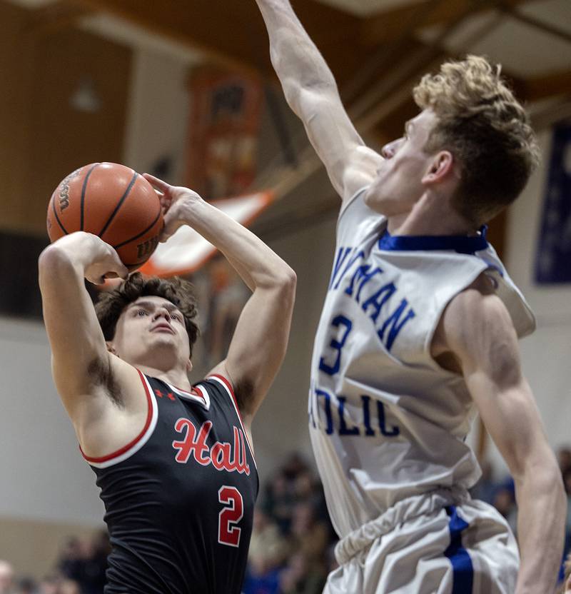 Hall’s Gianni Guerrini puts up a shot against Newman’s Lucas Simpson Friday, Feb. 2, 2024 at Newman High School.