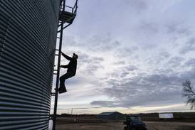 Grain storage capacity growth stagnant: agricultural economist