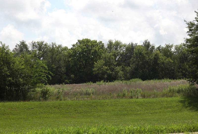 The tree line along Sunflower Drive obscures a pond Monday, July 28, 2025, off Ridge Drive between Sunflower and Pickwick Lane, where a victim of an apparent drowning was recovered Sunday night after water rescue efforts.