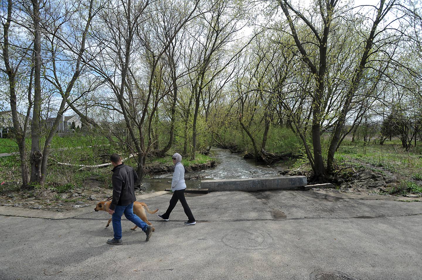 A couple walks their dog past Woods Creek in Lake in the Hills on Wednesday, May 4, 2022. Lake in the Hills approved a $1.3 million contract to continue its restoration of the creek.
